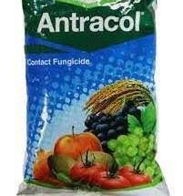 Antracol 70 WP